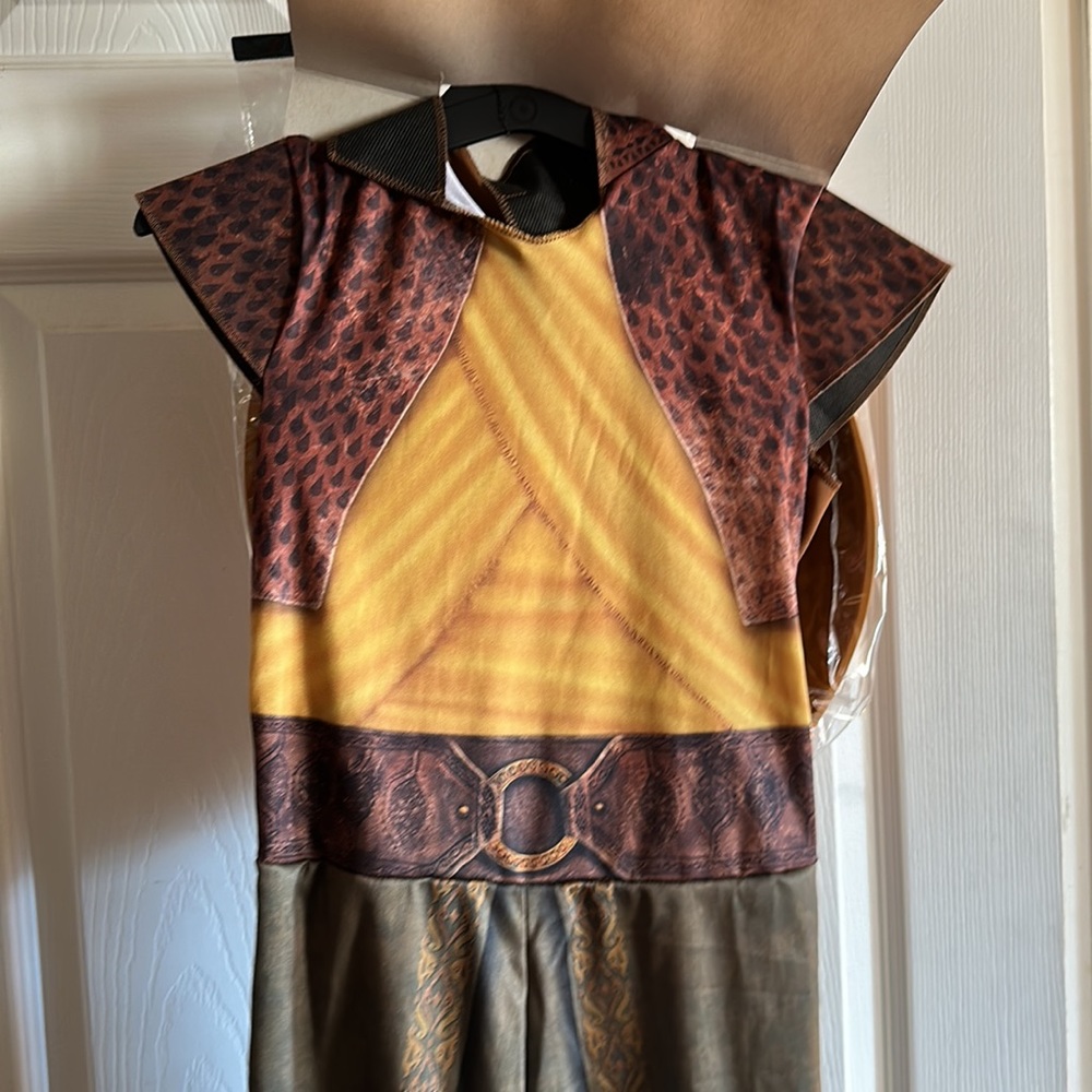 Disney Raya costume - Picture 4 of 7